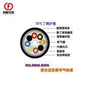 液位變測量水工電纜